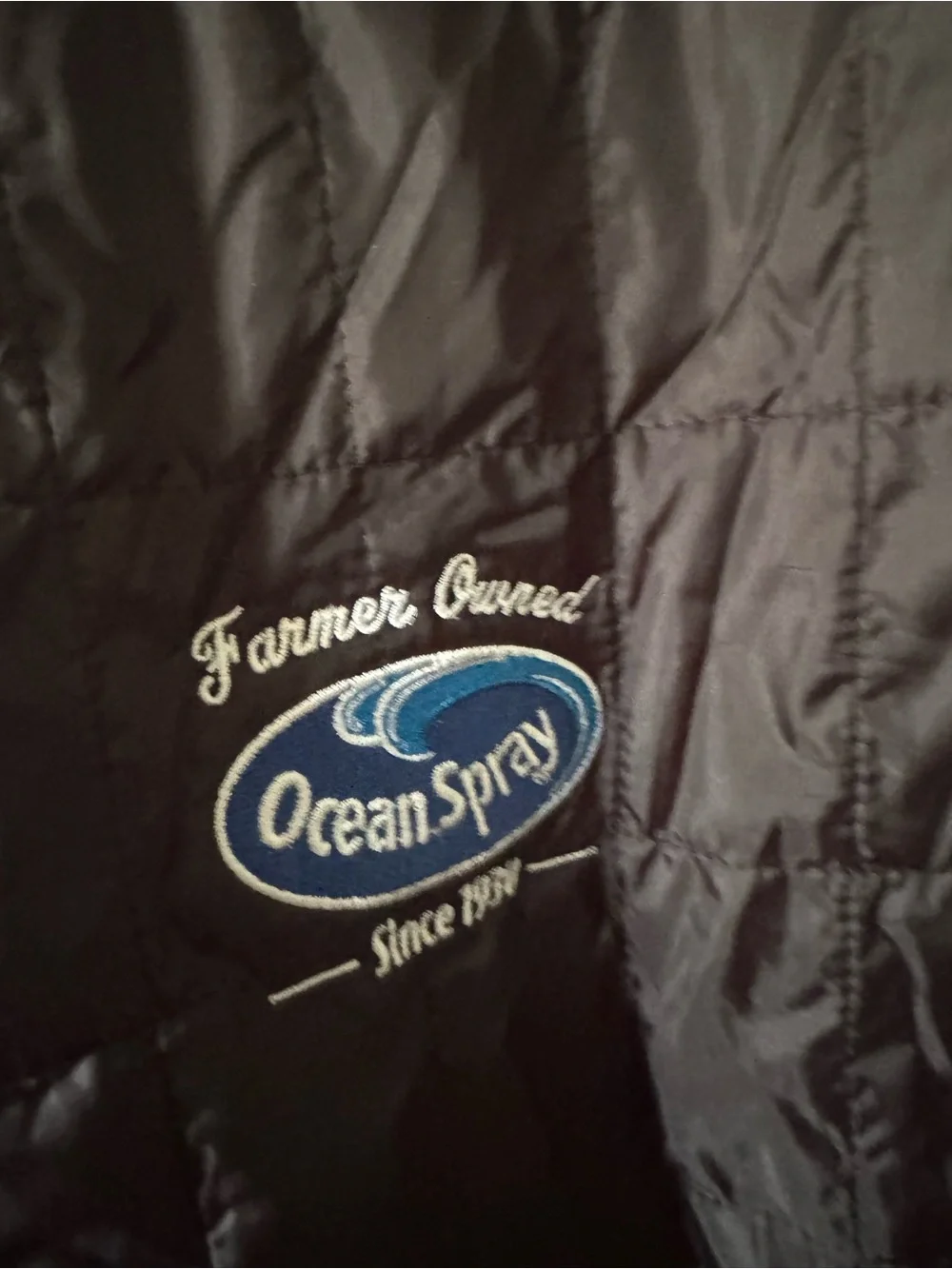 Branded Men's Black Quilted Puffer Jacket